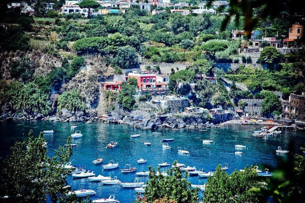 Hotel Villa Antonio Ischia Zewnętrze zdjęcie